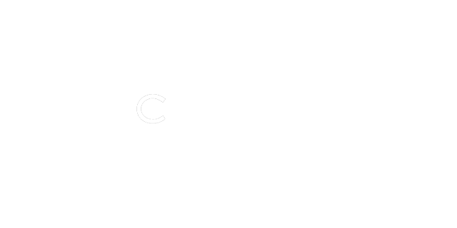 Celerya-logo